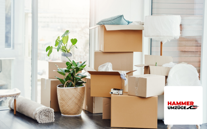 Webdesign Agentur Leipzig Referenz Umzugsunternehmen